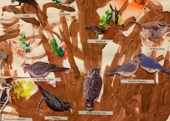 Tweets, Dot-painting, and Dirt